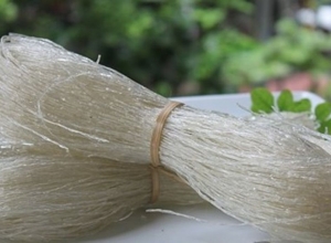 Tiểu đường có ăn được miến không? Hướng dẫn cách ăn đúng